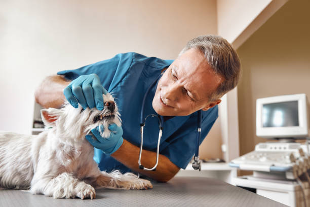 Best Weekend Emergency Dentist in Stanton, CA